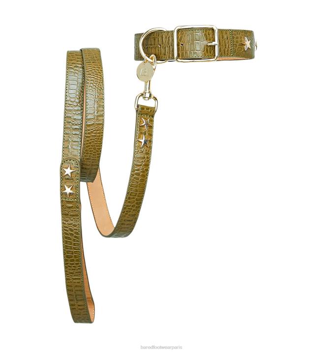 Bared Footwear unisexe collier et laisse pour chien cuir gaufré croco vert BBNT326