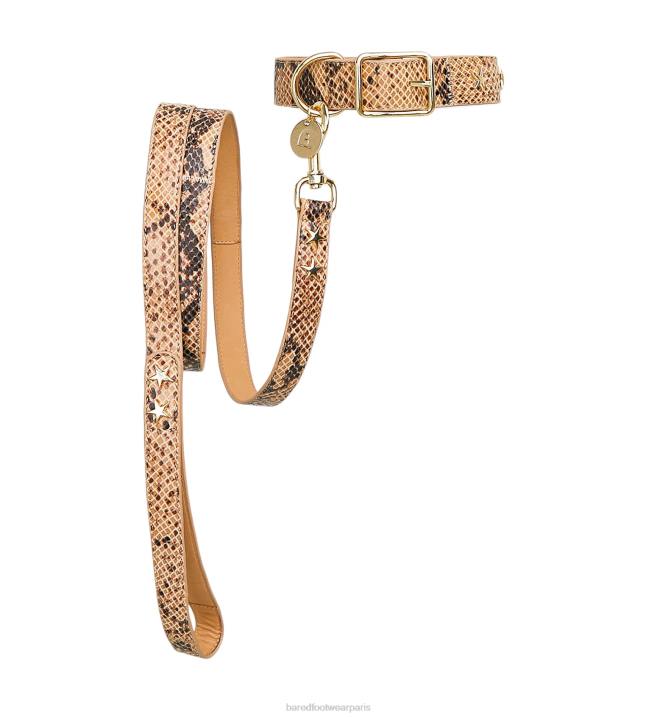Bared Footwear unisexe collier et laisse pour chien cuir imprimé serpent BBNT327